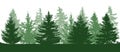 Summer green forest, silhouette of spruces. Vector illustration