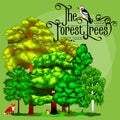 Summer Green Forest Tree and small animals in wild nature. Royalty Free Stock Photo