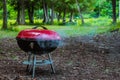 Summer grilling food, sausage, vegetables and kebab meat on barbecue grill over smoke and hot charcoal Royalty Free Stock Photo