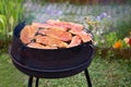 Summer grilling in garden Royalty Free Stock Photo