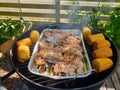 Summer grilling - salmon and corn on a garden grill Royalty Free Stock Photo