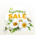 Summer handmade lettering and bouquet realistic daisy, camomile flowers on white background. Sale composition. Vector