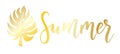 Summer handwritten calligraphy