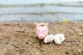 Summer happy piggy bank on sand beach over blurred sea ,Image for Saving Holiday Concept