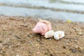 Summer happy piggy bank on sand beach over blurred sea ,Image for Saving Holiday Concept