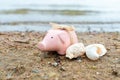 Summer happy piggy bank on sand beach over blurred sea ,Image for Saving Holiday Concept