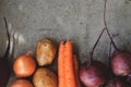 Summer harvest. Beets, potatoes, carrots and onions on a concrete background. Whole raw vegetables, ingredients for soup Royalty Free Stock Photo