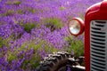 Summer harvest and countryside farming concept theme with close up on the headlight of and red old vintage tractor in a colorful Royalty Free Stock Photo