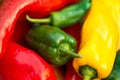 Summer harvest. Freshly picked, red, green and yellow sweet peppers, laying in grass in garden Royalty Free Stock Photo