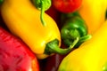 Summer harvest. Freshly picked, red, green and yellow sweet peppers, laying in grass in garden Royalty Free Stock Photo
