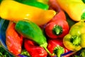 Summer harvest. Freshly picked, red, green and yellow sweet peppers, laying in grass in garden Royalty Free Stock Photo