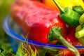 Summer harvest. Freshly picked, red, green and yellow sweet peppers, laying in grass in garden Royalty Free Stock Photo