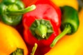 Summer harvest. Freshly picked, red, green and yellow sweet peppers, laying in grass in garden Royalty Free Stock Photo