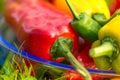 Summer harvest. Freshly picked, red, green and yellow sweet peppers, laying in grass in garden Royalty Free Stock Photo