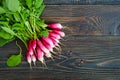 Summer harvested red radish. Growing organic vegetables. Large bunch of raw fresh juicy garden radish Royalty Free Stock Photo