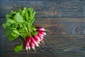 Summer harvested red radish. Growing organic vegetables. Large bunch of raw fresh juicy garden radish Royalty Free Stock Photo