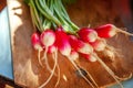 Large bunch of raw fresh juicy garden radish on wooden board Royalty Free Stock Photo