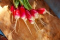 Large bunch of raw fresh juicy garden radish on wooden board Royalty Free Stock Photo