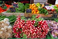 Summer harvested red radish and other vegetables in the market