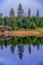 Summer in the Harz mountains, Germany. Historic Oderteich water reservoir near Sankt Andreasberg, component of the Upper Harz Royalty Free Stock Photo