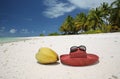 Summer hat and coconut on tropical sandy beach Royalty Free Stock Photo