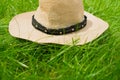 Summer hat from the sun lying on the  grass. Royalty Free Stock Photo
