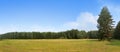 Summer hayfield landscape Royalty Free Stock Photo