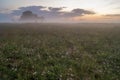 Summer, hazy meadow in the moonlight Royalty Free Stock Photo