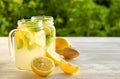 Summer healthy non alcoholic cocktails, citrus infused water drinks, lemonades with lime lemon or orange, diet detox beverages. Royalty Free Stock Photo