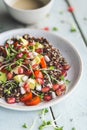 Summer Healthy Salad with Quinoa, Tomatoes, Avocado, Tahini Sauce, Germinated Seeds ans Pomegranate. Royalty Free Stock Photo