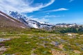 Summer Hike at Mount Rainier National park with view of Mt.Rainier.