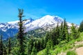 Summer Hike at Mount Rainier National park with view of Mt.Rainier.