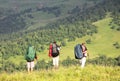 Summer hikie Royalty Free Stock Photo