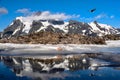 Bold Eagle flying over snowcapped mountains and reflection in little alpine lake.