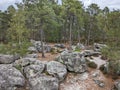 Summer Hiking in Fontainebleau Forest: Discovering the Beauty of Nature and Rock Climbing at L'elephant Royalty Free Stock Photo