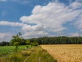 Hiking in the forrests of the german westphalia Royalty Free Stock Photo