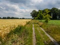 Hiking in the forrests of the german westphalia Royalty Free Stock Photo