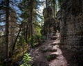 Hiking trail in the forest with rocky stone path through boulders. Royalty Free Stock Photo