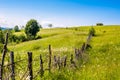 Summer hill landscape Royalty Free Stock Photo