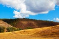 Summer hill landscape Royalty Free Stock Photo