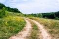 Summer hilly green meadow Royalty Free Stock Photo