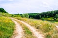 Summer hilly green meadow Royalty Free Stock Photo