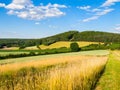 Summer hilly landscape withe green field, forests, blue sky and white clouds