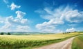 A summer hilly rural landscape with fields of young wheat and a road stretching.