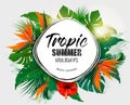 Summer Holiday Background With Tropical Plants And Coloful Flowe