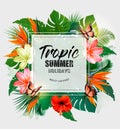 Summer Holiday Background With Tropical Plants And Coloful Flowers. Vector