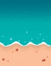 summer holiday beach background with shell starfish crab Royalty Free Stock Photo
