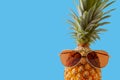 Summer and Holiday concept.Hipster Pineapple Fashion Accessories