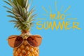 Summer and Holiday concept.Hipster Pineapple Fashion Accessories