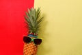 Summer and Holiday concept.Hipster Pineapple Fashion Accessories